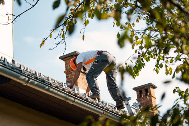 Roof Gutter Cleaning in Keshena, WI