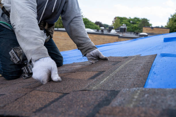 Best Residential Roofing Contractor  in Keshena, WI